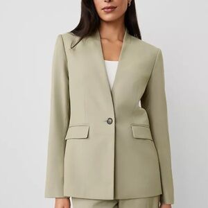 Ann Taylor Green Suit Set Modern Elegance